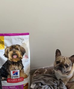 Hill's Science Diet Adult Small & Toy Breed Dry Dog Food, Chicken Meal & Rice Recipe, 15.5 lb. Bag 15.5 Pound (Pack of 1) 35 61UJjqTZnNL