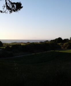 Samsung Galaxy Tab A 7"; 8 GB Wifi Tablet (Black) SM-T280NZKAXAR Black 65 61UL38StcVL