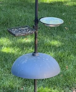 Fox Run Pie Pan, Tin-Plated Steel, 7-Inch 12 61UVSMBeKuL