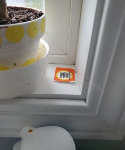 TERRO Liquid Ant Killer ll T200, 2 oz 56 61UY JN8fL