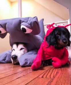 Rasta Imposta Hammerhead Shark Standard Grey 29 61UcJFSRksL