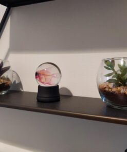 MyGift Assorted Artificial Succulent Fake Plant in Small Clear Glass Display Vases, Set of 4 38 61UdtDr6J3L