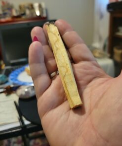 Luna Sundara Organic Wild Harvested Palo Santo Smudging Sticks from Ecuador Select High Resin Natural Incense Sticks Sustainable Packaging 8 Aromatic Sticks for Peace and Tranquility Bursera Graveolens Wood 44 61UkqFH0e2L