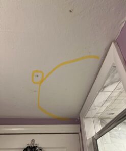 RMR-86 Instant Mold Stain and Mildew Stain Remover Spray - Scrub Free Formula, 32 Fl Oz 32 Fl Oz (Pack of 1) 39 61UlFtHbHaL