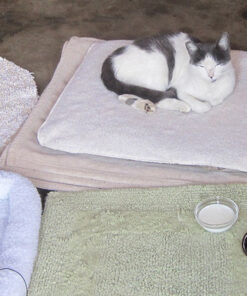 K&H Pet Products Outdoor Heated Dog Pad Tan Medium 19 X 24 Inches 40 61UmnGjADuL 1