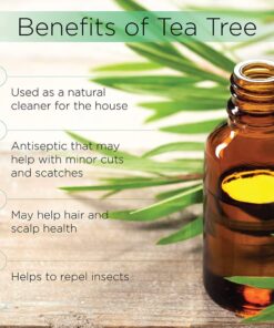 Radha Beauty Tea Tree 120ml - Essential Oil with Natural Premium Melaleuca with Soaps, Shampoo, Body Wash, Aromatherapy and Antifungal Treatment 4 Fl Oz (Pack of 1) 28 61V0FRL5HgL