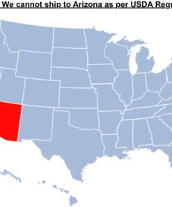 Brighter Blooms - Cold Hardy Avocado Tree, 1-2 Ft. - Indoor/Outdoor Potted Avocado Tree to Grow Your Own - No Shipping to AZ 1-2 ft. 15 61V8XLVEe0L