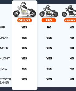 HYPER GOGO Cruiser 12 - Kid's Motorbike (Orange), Large (EL-MB03A) Orange 13 61VCeuz2ddL