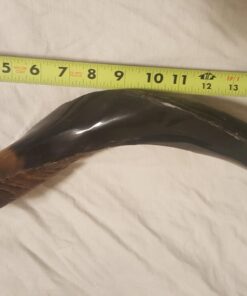 Half-Polished Finish Yemenite Kudu Horn Shofar 20"-22" 21 61VEf915Q2L