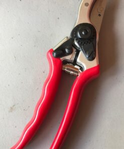 Carbon Steel Bypass Garden Shears - Ultra Sharp Blades with Safety Lock & Comfort Grip - Hand Trimmer with Sap Groove Easily Cuts Through Branches & Stems for Indoor & Outdoor Use 45 61VHYQGoZML