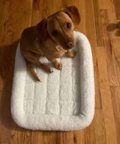 MidWest Homes for Pets Bolster Fleece Pet Bed for Dog And Cats 24L-Inch White w/ Comfortable Bolster | Ideal for Small Dog Breeds & Fits a 24-Inch Dog Crate | Machine Wash & Dry | 1-Year Warranty 33 61VKQjQqgTL