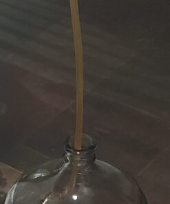 Fermtech Regular 5/16" Auto Siphon 24" Length with 8 feet of Tubing, clear, 1 piece 9 61VTa09SORL