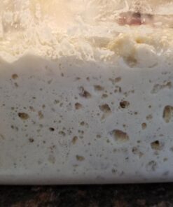 The New Artisan Bread in Five Minutes a Day: The Discovery That Revolutionizes Home Baking 56 61VZZhXi L