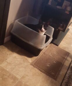 IRIS USA Open-Top Cat Litter Box with Shield and Scoop, Black Regular 49 61VdEgRZXDL