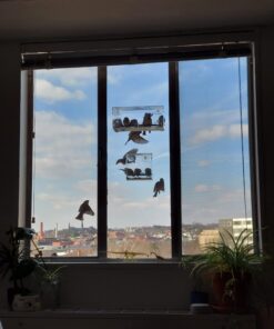 Wild Birds of Joy Window Bird Feeder with 4 Super Strong Suction Cups & Sliding Seed Tray, Large, Clear Acrylic, Easy Clean, Outdoor Bird Feeders, Outside View Up Close of Finch, Cardinal and Blue Jay 42 61VdPAmIuHL