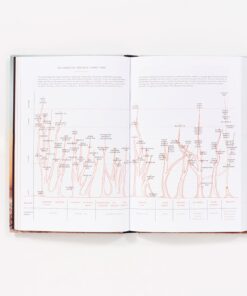 Kings County Distillery Guide to Urban Moonshining 14 61VkoCJdX9L
