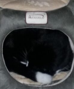 Armarkat Cat Bed, Laurel Green and Beige 57 61VrVV4BPdL