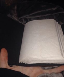 AzureGreen DOUBLE DRAGON Blank Page BOOK Handcrafted Leather Writing Unlined 5 x 7 JOURNAL (Brown) 49 61VxKy49cIL