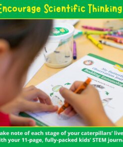 Painted Lady Butterfly Kit - Habitat, STEM Journal, & Voucher for Chrysalis Log & Caterpillars - Grow Your Own Butterfly Kit 32 61W IOoHzHL