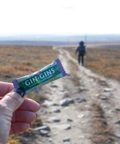 The Ginger People Gin Gins Original Chewy Ginger Candy 3 Oz (pack of 2) 14 61W0K3vc0wL