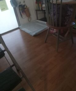 Amazon Basics Dog and Puppy Pee Pads with 5-Layer Leak-Proof Design and Quick-Dry Surface for Potty Training, X-Large, 28 x 34 Inch - Pack of 40, Blue & White Unscented X-Large (40 Count) 23 61W16ae5CJL 1