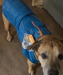 Kurgo Loft Dog Jacket, Reversible Dog Coat, Wear with Harness or Sweater, Water Resistant, Reflective, Winter Coat For Large Dogs (Coastal Blue, L) Coastal Blue/Orange 38 61W4Ahl8RML