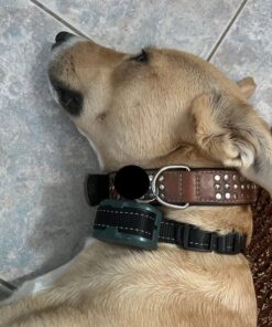 UPGRADED Q6 Rechargeable Bark Collar - Smart Barking Detection Module w/Triple Stop Anti-False Modes: Beep/Vibration/Shock for Small, Medium, Large Dogs & Breeds - IPx7 Waterproof (15-120 LBS) 49 61W5 85C4iL