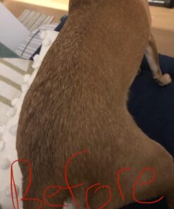 Zesty Paws Omega 3 Alaskan Fish Oil Chew Treats for Dogs - with AlaskOmega for EPA & DHA Fatty Acids - Hip & Joint Support + Skin & Coat Chicken Flavor (90 Soft Chews) 90 Count (Pack of 1) 41 61W8jXCdOnL 2