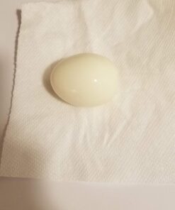 Hamilton Beach Electric Hard Boiled Egg Cooker, 3-in-1: Boiled Egg Cooker, Poacher & Omelet Maker, Can Hold 7 Eggs, Black with Silver Knob (25500) 42 61WAMeK8aRL 2