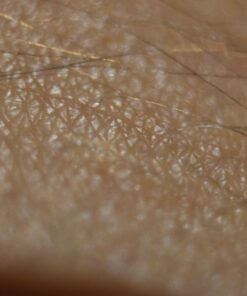 Mcoplus Extnp Auto Focus Macro Extension Tube Set for Nikon AF AF-S DX FX SLR Cameras 63 61WBnTbGuBL