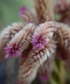 Alternative view of 52MM 0.43x Wide Angle Conversion Lens with Macro for Nikon D3200, D3300, D5100, D5200, D5300, D5500, D7200, D90, D500, D600, D610, D700, D750, D800