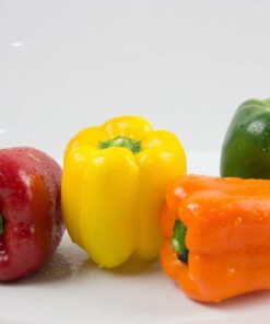 Alternative view of Seeds Sweet Bell Pepper Rainbow Red Mix Vegetable for Planting Heirloom Non GMO