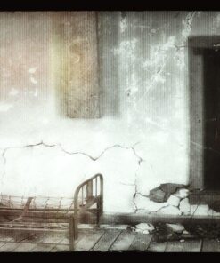 Understanding Exposure, Fourth Edition: How to Shoot Great Photographs with Any Camera 18 61WI8ChvuGL