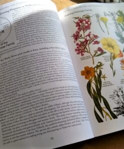 Botany in a Day: The Patterns Method of Plant Identification 19 61WJ4oifyTL