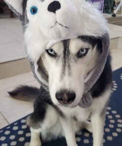 Super Z Outlet Cute Plush Animal Hat Winter Warm Winter Fashion Clothing Accessories (Husky/Wolf-Short) Grey 31 61WK0YzakoL