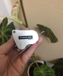 Formline LED Illuminated Jewelers Loupe/Trichome Scope (60x + 30x Lens) - Magnifier Made for Gardening, Jewelry, Antiques, Coins, Rocks, Stamps, Hobbies, Watches, Photos and Science (White/Silver) White 22 61WNL0NN2WL