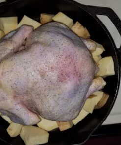 Lodge Cast Iron Skillet with Red Silicone Hot Handle Holder, 12-inch 57 61WOQ8RW0BL