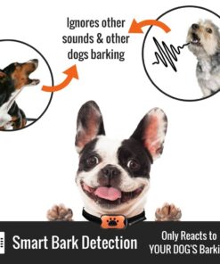 Dog Bark Collar - Stop Dogs Barking Fast! Safe Anti Barking Devices Training Control Collars, Small, Medium and Large pet deterrent. No shock, remote or citronella. Sound, vibration training device 26 61WQ2XzWTLL