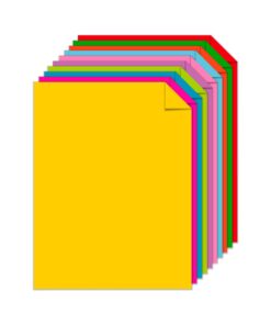 Neenah Astrobrights® Bright Color Paper, Letter Size Paper, 24 Lb, FSC Certified, Assorted Mini Pack, Pack Of 200 Sheets 1 ream of 200 Sheets Charisma 14 61WRTwlskmL