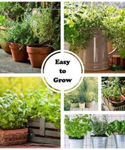 Culinary Herb Seeds Variety Pack - Outdoor & Indoor Herb Garden Kit - 10 Non-GMO Herb Garden Seeds for Planting & Book - Basil Seeds, Dill Seeds, Rosemary Seeds, Thyme Seeds, & More 25 61WXVlAJvDL