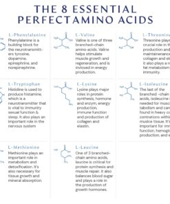 BodyHealth PerfectAmino Tablets (1PK), All 8 Essential Amino Acids with BCAAs + Lysine, Phenylalanine, Threonine, Methionine, Tryptophan, Supplement for Muscle Mass Production, Recovery & Strength 1 13 61Wi7dMmjxL