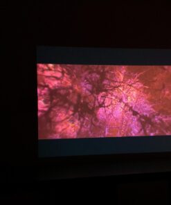 Epson Home Cinema 1040 1080p, 2x HDMI (1 MHL), 3LCD, 3000 Lumens Color and White Brightness Home Theater Projector 40 61WihD9czXL