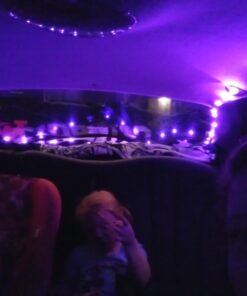 RTGS Products 30 LEDs Lights Indoor and Outdoor 9.5 Feet String Lights, Fairy Lights Battery Powered for Patio, Bedroom, Holiday Decor, etc (Pink) Pink 30 61Wj PQDSL