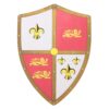 Hero's Edge Medieval Royal Crusader Lion Foam Shield for Cosplay and LARP 2 61WpOlKzOL