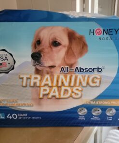 HONEY CARE All-Absorb, X-Large 28" x 34", 40 Count, Dog and Puppy Training Pads, Ultra Absorbent and Odor Eliminating, Leak-Proof 5-Layer Potty Training Pads with Quick-Dry Surface, Blue 26 61WqF0PAAvL