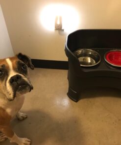 Sensky Motion Sensor Night Light Eye Friendly Front Low Light and Bright Back Light Design Night Lights for Bathroom Hallway (Warm White) 1 pack with PIR motion sensor 17 61WrkNUBidL