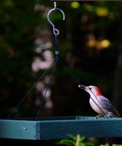 Woodlink Going Green Platform Bird Feeder Model GGPLAT 43 61WzYkVaAwL