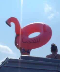 GoFloats Flamingo Pool Float Party Tube - Inflatable Rafts, Adults & Kids 32 61X H2q3jWL