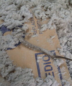 Dryer Vent Duct Cleaning Kit - Gardus RLE202 LintEater Rotary Dryer Vent Cleaner Kit, Removes Lint, Dryer Vent Cleaning System Extends Up to 12’ with 4 Flexible 3' Rods, Air Duct Cleaning Tools 52 61X06 a3rXL