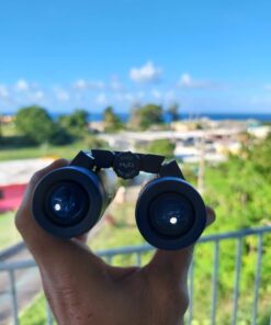 Bushnell H2O Waterproof/Fogproof Compact Roof Prism Binocular Black, 8x25mm 27 61X1hP0nk8L